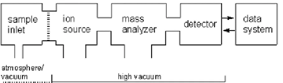 Figura 1: Componentes básicos de um espectrômetro de massas. A fonte de ionização, o analisador de  massas  e  o  detector  são  operados  sob  alto  vácuo