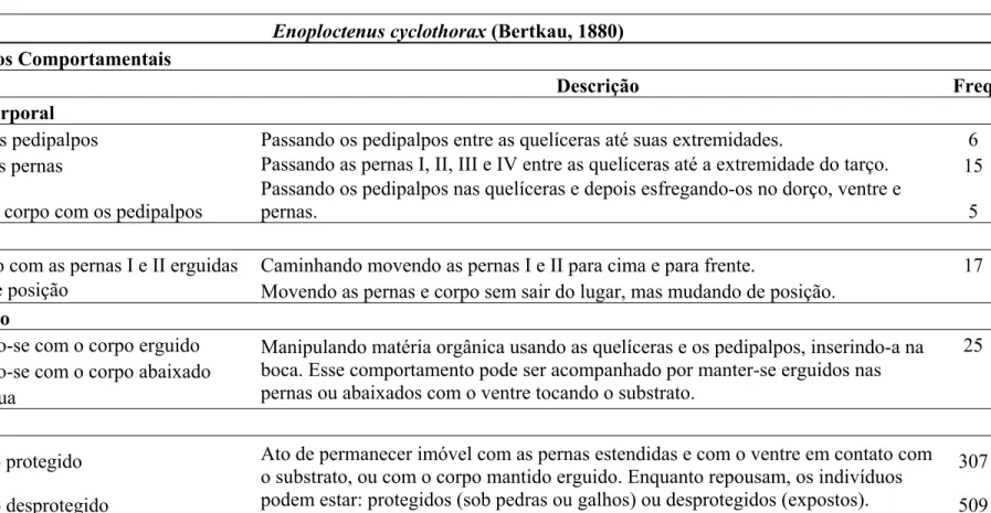 Tabela 6. Repertório comportamental e frequência de cada ato comportamental da aranha Enoploctenus cyclothorax (Bertkal 1880), 80 horas de  observação