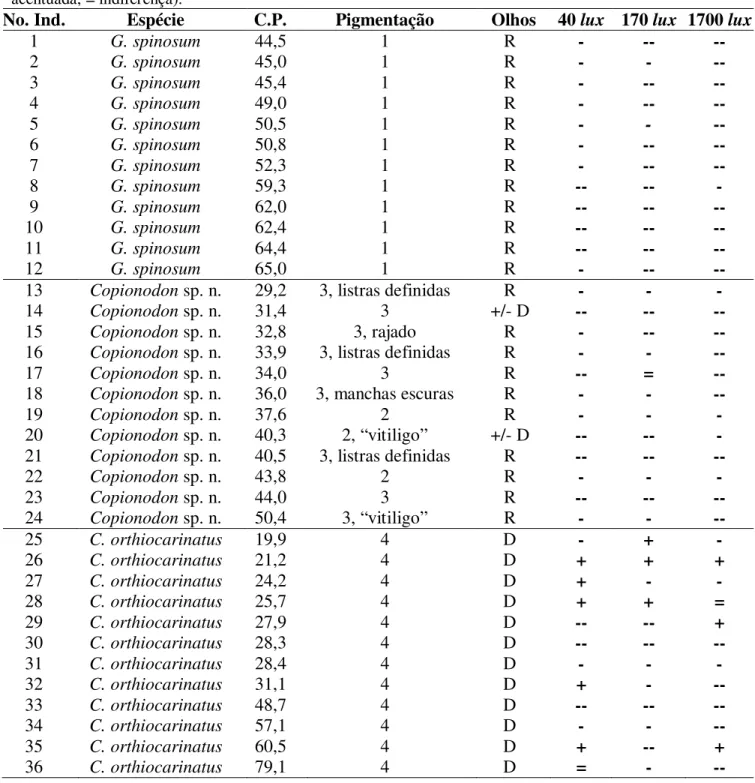 Tabela  2.  Resposta  fototática  apresentada  por  cada  indivíduo  testado.Comprimento-padrão  (C.P.)  em  milímetros; pigmentação (1