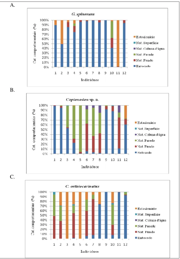 Figura 2. Freqüências de ocorrência individuais das categorias comportamentais registradas para  os  copionodontíneos  da  Chapada  Diamantina,  Bahia  central