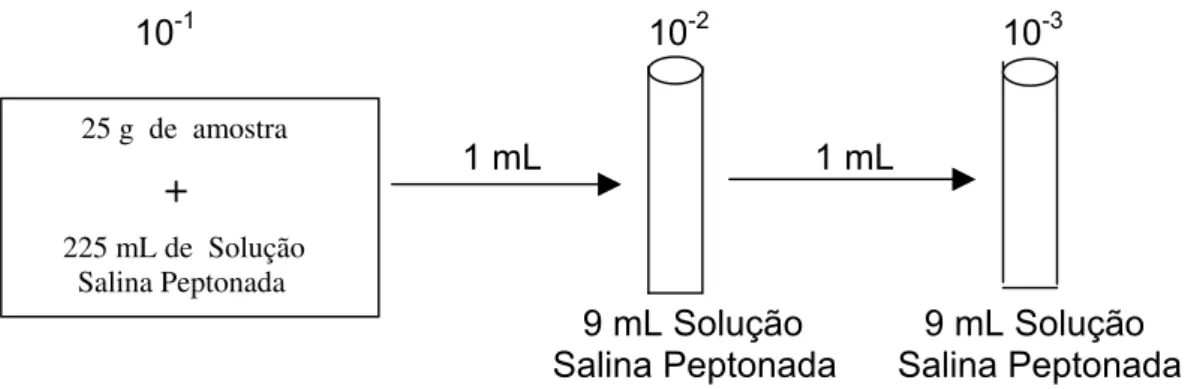 FIGURA 1: Esquema do preparo das diluições em série. 