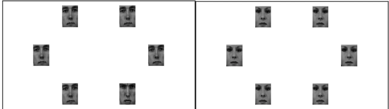 Figura  1  -  Exemplo  de  uma  matriz  com  faces  masculinas  com  um  alvo  (raiva)  rodeada  de  distratores  (expressões emocionais neutras) e de uma matriz com faces femininas sem alvo (todas as faces neutras).