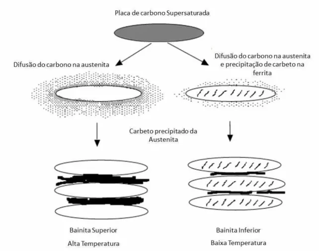 Figura 3.10: Difusão da austenita e formação da bainita   