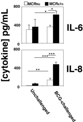 Figure 3: Cytokine secretion by BCG-challenged MCR cells.  MCR Nc  (white bars) and MCR sTn  (black bars) cells were challenged  or not with BCG and the concentration of ten cytokines secreted was determined in their conditioned media as described in the M