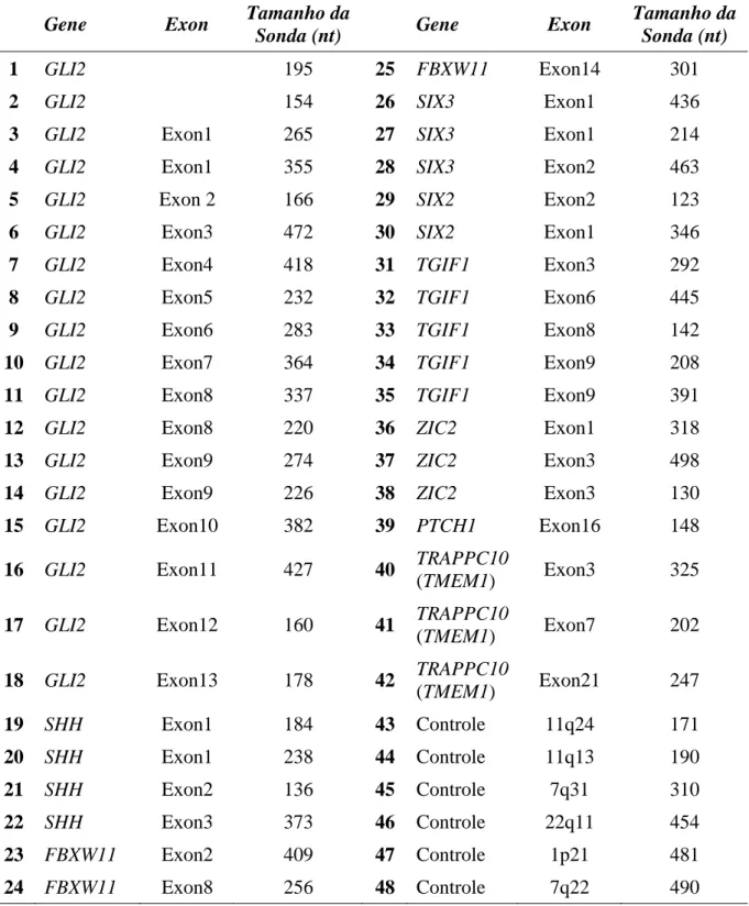 Tabela 3:  Sondas do Kit SALSA MLPA P187-B1 holoprosencephaly   Gene  Exon  Tamanho da 