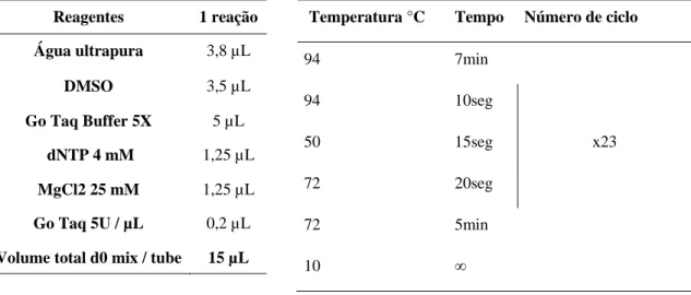 Tabela 6. Mix da reação da PCR e o respectivo ciclo.  Reagentes  1 reação  Água ultrapura  3,8 µL  DMSO    3,5 µL  Go Taq Buffer 5X  5 µL   dNTP 4 mM   1,25 µL  MgCl2 25 mM  1,25 µL  Go Taq 5U / µL  0,2 µL  Volume total d0 mix / tube  15 µL