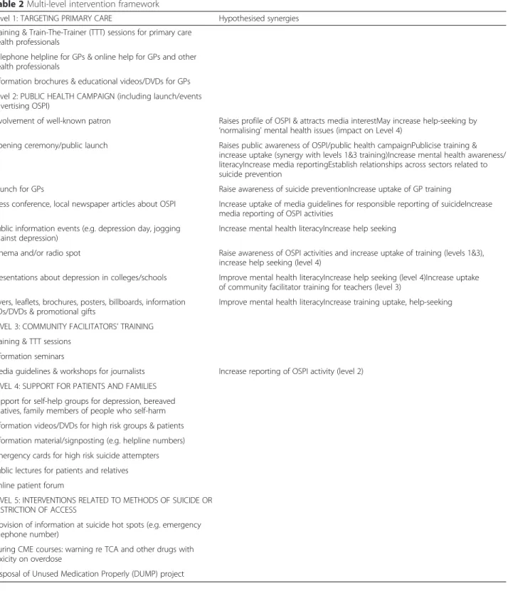 Table 2 Multi-level intervention framework