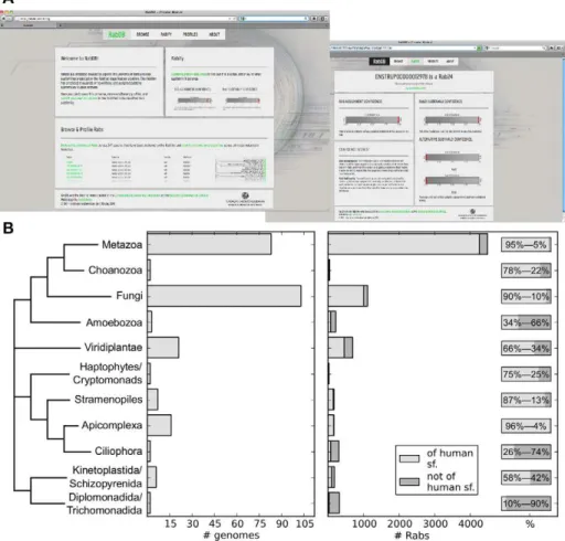 Figure 3. Resources we make available. (A) Snapshots of the database www.RabDB.org which provides public access to the results of the Rabifier applied to the Superfamily database [41] and the online version of the Rabifier