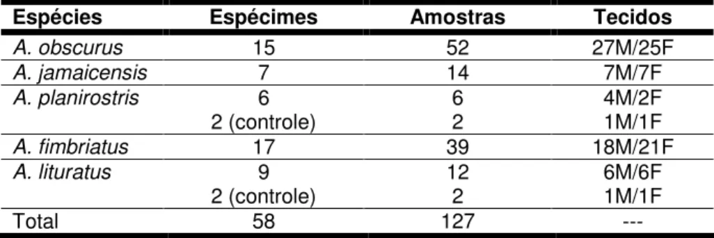 Tabela 1: Número de espécimes e amostras, e tipos de tecidos  utilizados para cada espécie (M = músculo; F = fígado)