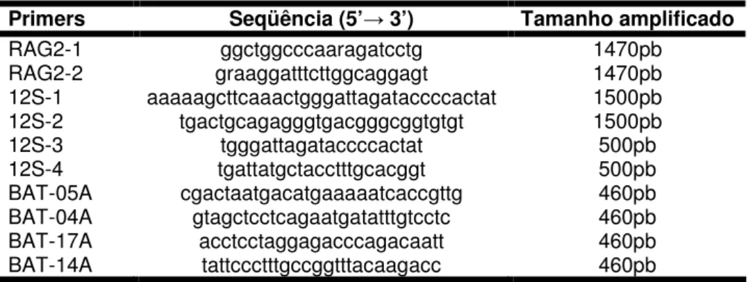 Tabela 2: Código e seqüências dos oligonucleotídeos iniciadores utilizados, e  o tamanho esperado dos fragmentos amplificados
