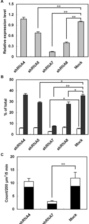 FIGURE 7:  Effects of exophilin8 knockdown on insulin release from  MIN6 cells. (A) Exophilin8 mRNA expression levels were determined  by real-time quantitative PCR in MIN6 cells without or with infection  of adenoviruses encoding exophilin8-specific shRNA
