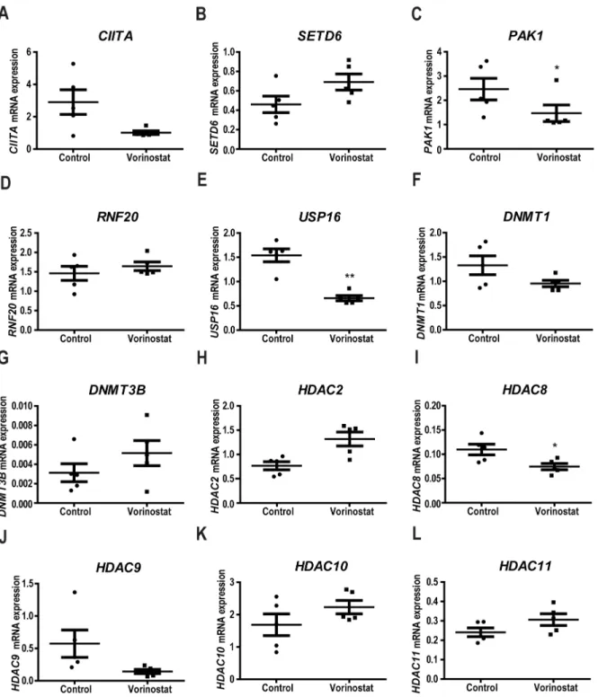 Fig 3. Effect of vorinostat on epigenetic patterns on chromatin epigenetic modifications enzymes differentially expressed in FA mononuclear cells