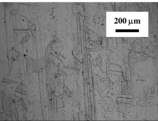 Figura 2: Micrografia do aço inoxidável 310S, no estado como recebida. 