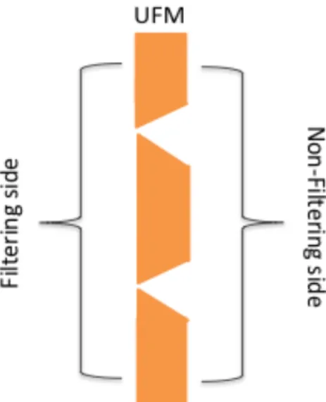 Figure 4.1a A schematic representation of non-symmetric UFM.