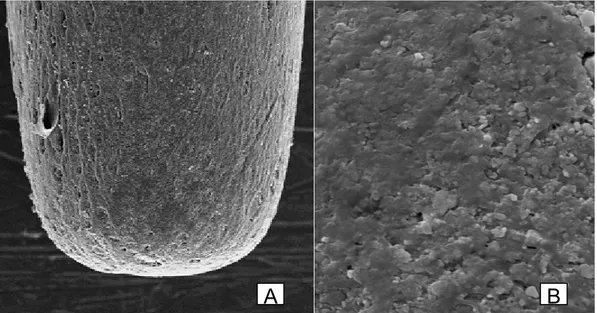 FIGURA 5 – Aspecto da morfologia superficial dos cones de guta-percha com  aumento de 500 (A) e 5000 (B) vezes 