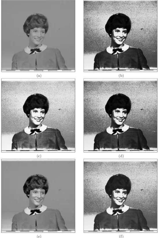 Figure 3.1: An example of image brightness preserving and contrast enhancement: (a) original image; enhanced images using (a) as input by CHE, BBHE, DSIHE, RMSHE (r = 2), and MMBHEBE methods are shown in (b), (c), (d), (e) and (f), respectively.