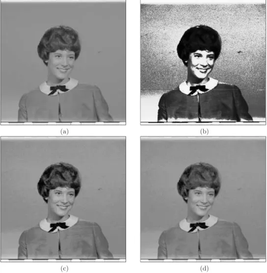 Figure 5.1: Results: (b), (c) and (d) are the enhanced resulting images by BPHEME, MWCVMHE (k = 5), and MMLSEMHE (k = 6) methods, respectively, using (a) the girl image as input.