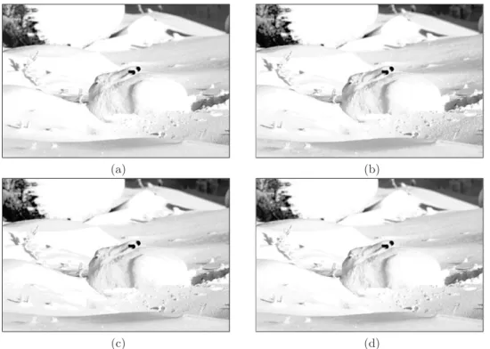 Figure 5.3: Results for : (a) original image; (b), (c) and (d) are the enhanced resulting images by RMSHE (r = 2), MWCVMHE (k = 5), and MMLSEMHE (k = 7) methods, respectively, using the arctic hare image.