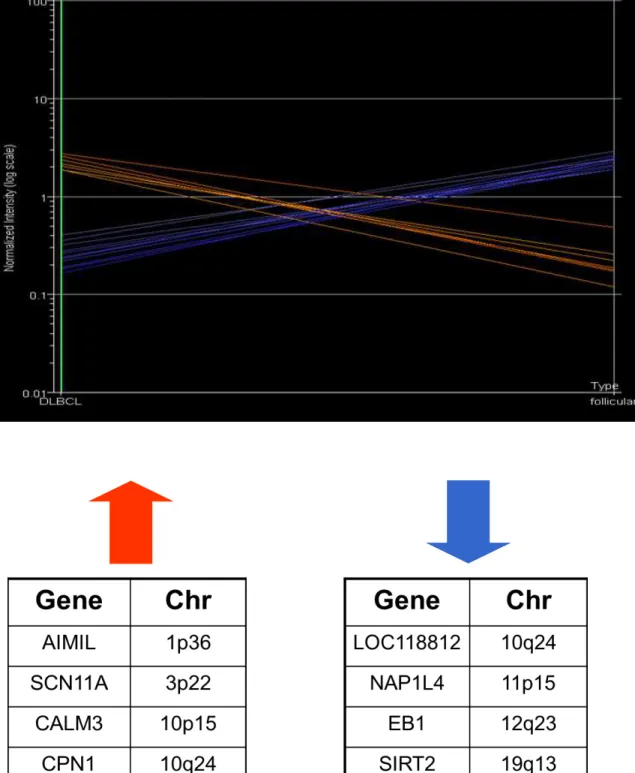 Figure  2.4  -  The  18  genes  (down  regulated  in  blue  &amp;  up-regulated  in  red)  differently  expressed  upon  transformation  not  previously  reported  in  GEP  studies