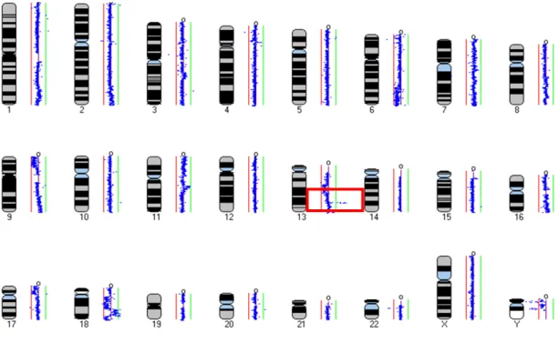 Figure  2.5  -  ArrayCGH  profile  of  case  2.  Highlighted  in  the  red  box  is  a  small  region of amplification of chromosome 13q