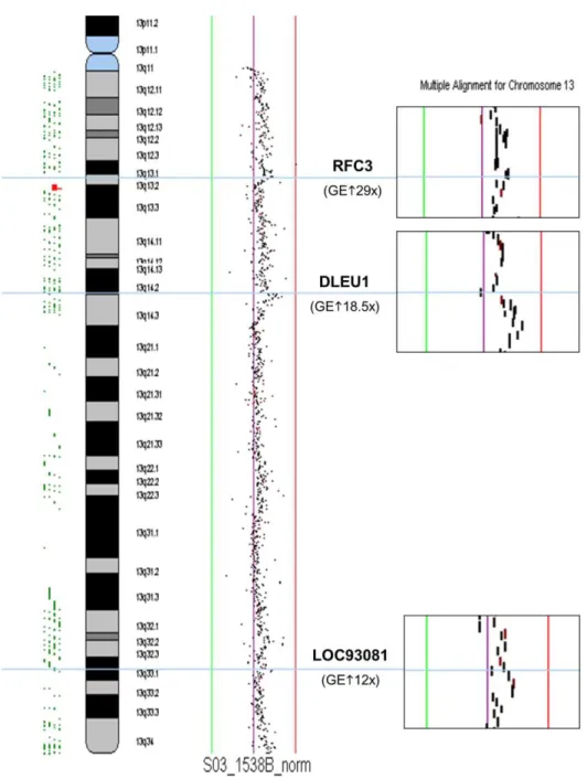 Figure 2.7 - ArrayCGH of chromosome 13 (case 2). Enlarged are  the “top” three  over expressed  genes (&gt;10 fold change) in case  2  showing lack of correlation  between gene expression profiling and copy numbers alterations