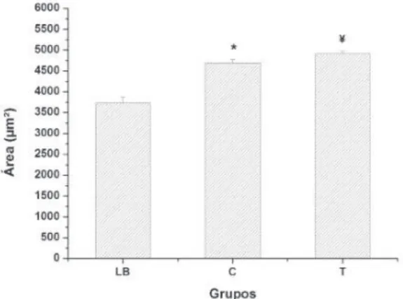 Figura 1. Comparação da área de secção transversa do músculo gastrocnêmio medial entre os grupos  LB, C e T