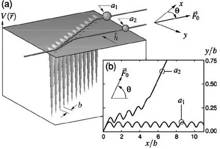 Figura 3.2: O princípio de fracionamento óptico. (a) Partículas diferentes sob a ação de uma força externa F 0 fluindo através de uma rede de pinças ópticas inclinada de um ângulo θ 