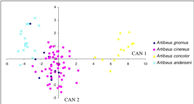 Figura 3.1.1 análise das variáveis canônicas para as 13 medidas corporais dos quatro  pequenos Artibeus 