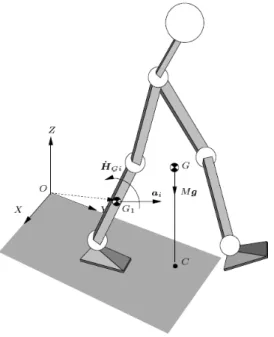 Figura 2-18 - Fase de suporte singular (retirado de [4])  A equação de equilíbrio dinâmico do pé de suporte obedece à expressão: 