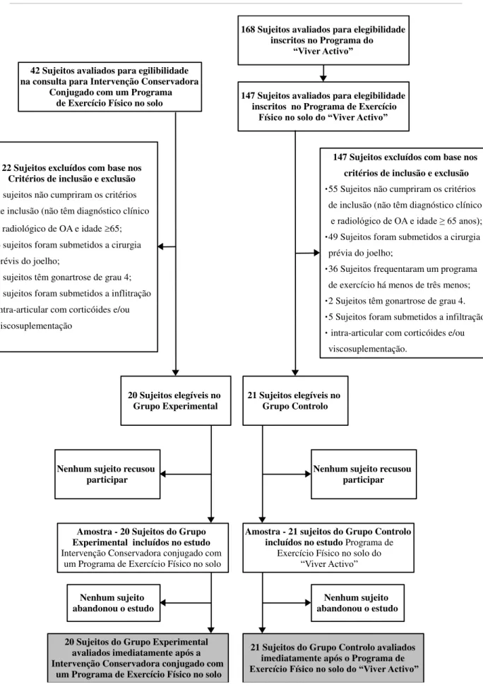 Figura 3 - Fluxograma dos participantes no estudo. 