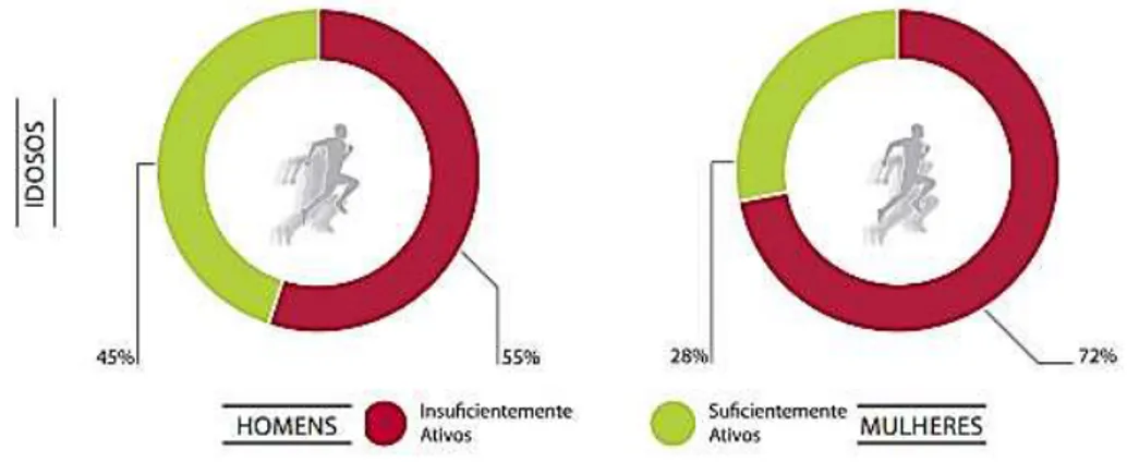 FIGURA 1- Percentagem de Idosos que atingem as recomendações (IDP, 2011) 