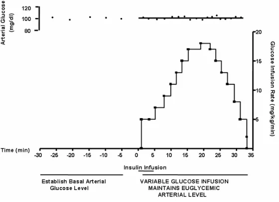 Figure  7  -  Example  of  Rapid  Insulin  Sensitivity  Test  (RIST).  After  the  basal  glucose  level  is  ascertained, a bolus of insulin is infused