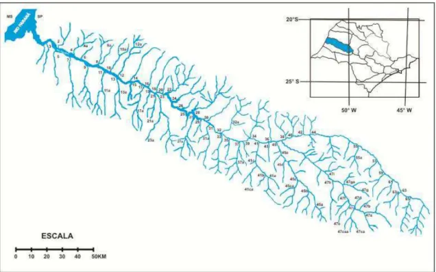 Figura 3 - Principais elementos de drenagem na bacia hidrográfica do Rio do Peixe. Os números  designam afluentes analisados no presente trabalho (cf