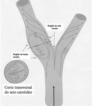 Figura  8 :  Tensão  de  cisalhamento  (shear  stress),  importante na localização da placa aterosclerótica 