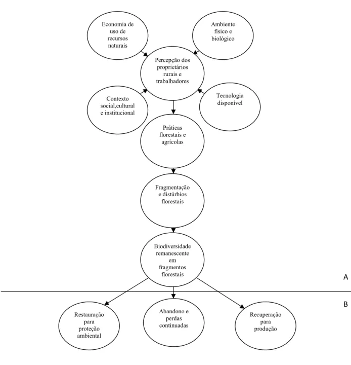 Figura 1. Processo de fragmentação florestal em paisagens intensivamente cultivadas (A) e estratégias alternativas para lidar com problemas associados coma fragmentação (B).O ponto chave deste sistema é o proprietário rural que realiza decisões de uso da t