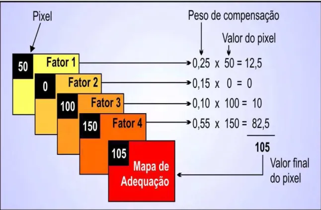 Figura 6. Representação do processo de avaliação pelo método da Combinação Linear Ponderada (CLP).
