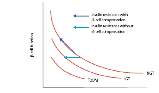 Figure 1.10 - Hyperbolic relation between -cell function and insulin sensitivity. In people with normal glucose  tolerance (NGT) a quasi-hyperbolic relation exists between -cell function and insulin sensitivity