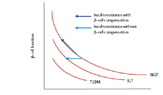 Figure 1.10 - Hyperbolic relation between -cell function and insulin sensitivity. In people with normal glucose  tolerance (NGT) a quasi-hyperbolic relation exists between -cell function and insulin sensitivity