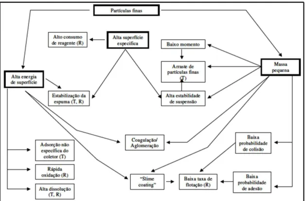 Figura 3.2- Diagrama esquemático mostrando a relação entre as propriedades físicas e  químicas de partículas finas e seu comportamento na flotação (Fuerstenau, 1980)