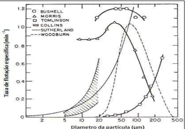 Figura 3. 3- Efeito do diâmetro da partícula na taxa específica de flotação. 