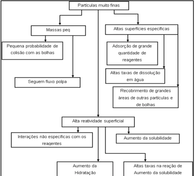 Figura 3. 6- Possíveis efeitos de partículas muito finas no processo de flotação (Klassen  e Mokrousov, 1963, apud Araujo, 1982)