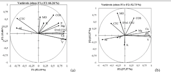 Figura 2 - Correlações dos atributos do solo pH: pH em água; K: potássio (mg dm -3 ); P: fósforo (mg dm -3 );  Ca: cálcio (cmol c   dm -3 ); Mg: magnésio (cmol c   dm -3 ); Al: alumínio (cmol c   dm -3 ); CTC:  capacidade de troca de cations (cmol c  dm -3
