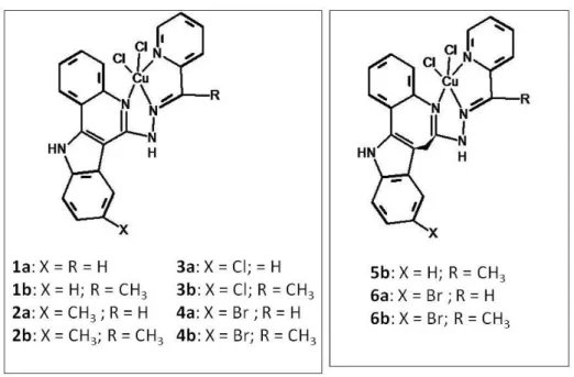 TABELA 04- Citotoxicidade de complexos de cobre (II) com indoloquinolina (1a  -  4b) ou ligantes “bases de Paullone” em três linhagens de células cancerosas 
