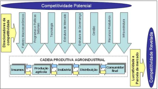 Figura 2.1. Direcionadores de competitividade sobre uma cadeia produtiva agroindustrial  