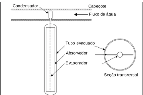 Figura 1: Coletor solar de tubos evacuados com tubo quente.  (KALOGIROU, 2009) 