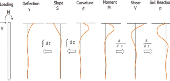 Fig. 3.4 – Relation between curves of deflection, slope, curvature, bending moment, shear force and soil reaction 
