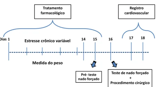 Figura 3 – Protocolo experimental para estudo do efeito do estresse crônico variável e do tratamento  farmacológico com fluoxetina e 7-NI sobre o comportamento no teste de nado forçado e a função  cardiovascular