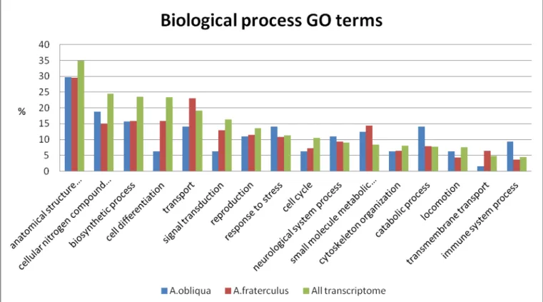 Figure 4. Distribution on percentage of biological process class of the GO slim terms