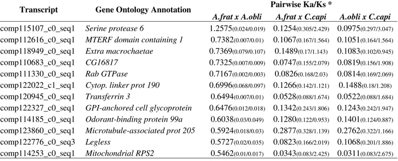 Table 2 Pairwise Ka/Ks analysis.  