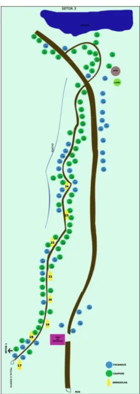 Figura 7 - Setor 3 com a localização dos pés de mariri, no Centro Espírita  Beneficente União do Vegetal em Campinas/SP, onde o verde representa os  pés de mariri da variedade caupuri e o azul representa a variedade tucunacá